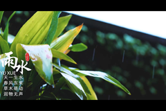 二十四节气茶点——燕麦饼干